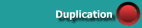 Duplication